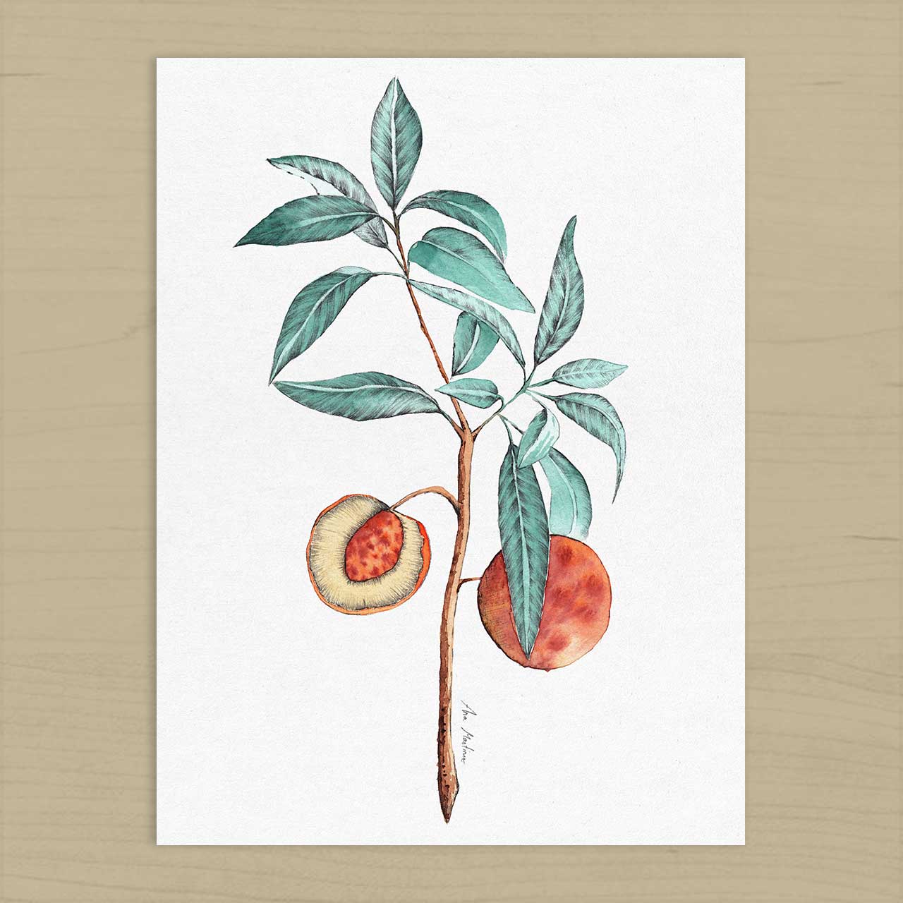 El buen limón - "Peach Branch" Art Print
