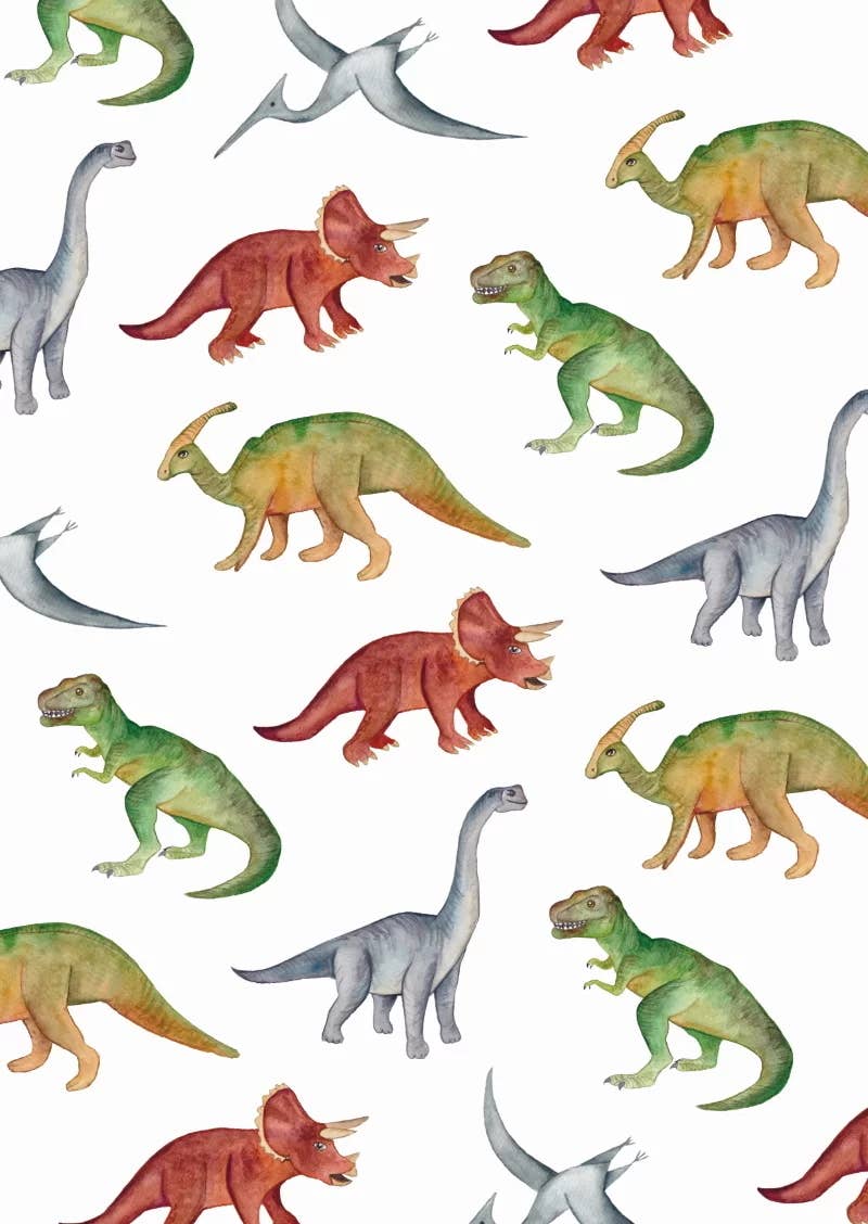 FRITSY - Greeting Card Dinosaurs