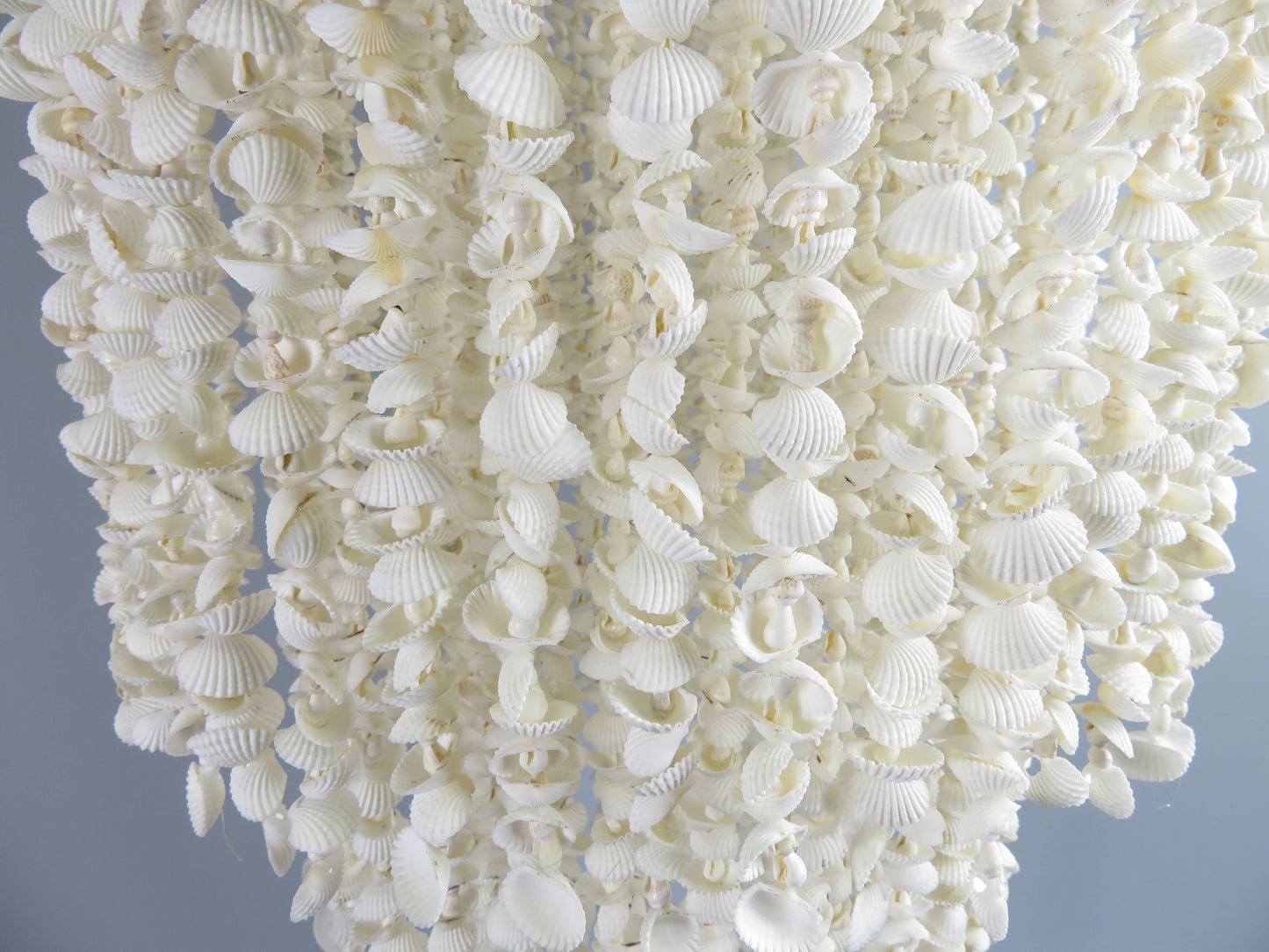 Product Import Holland - Shell pendant - Cap kor kor