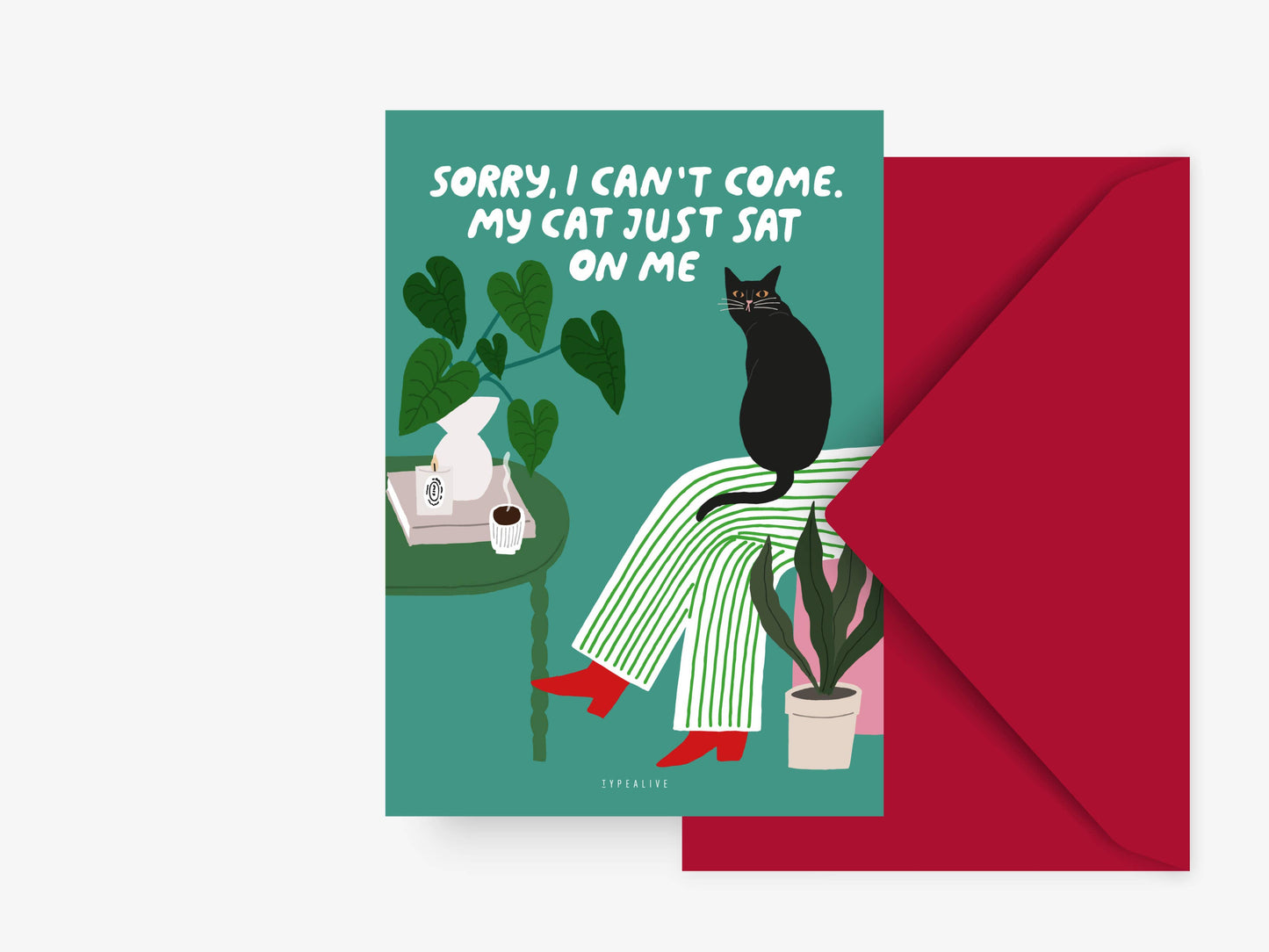 typealive - Postcard / Petisfaction "Cats" Sat On Me