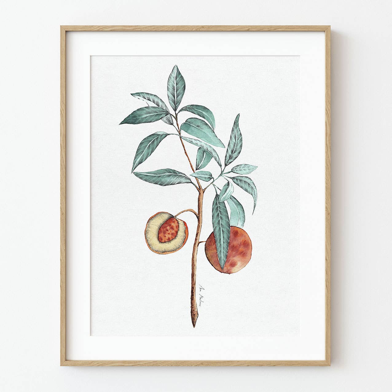 El buen limón - "Peach Branch" Art Print