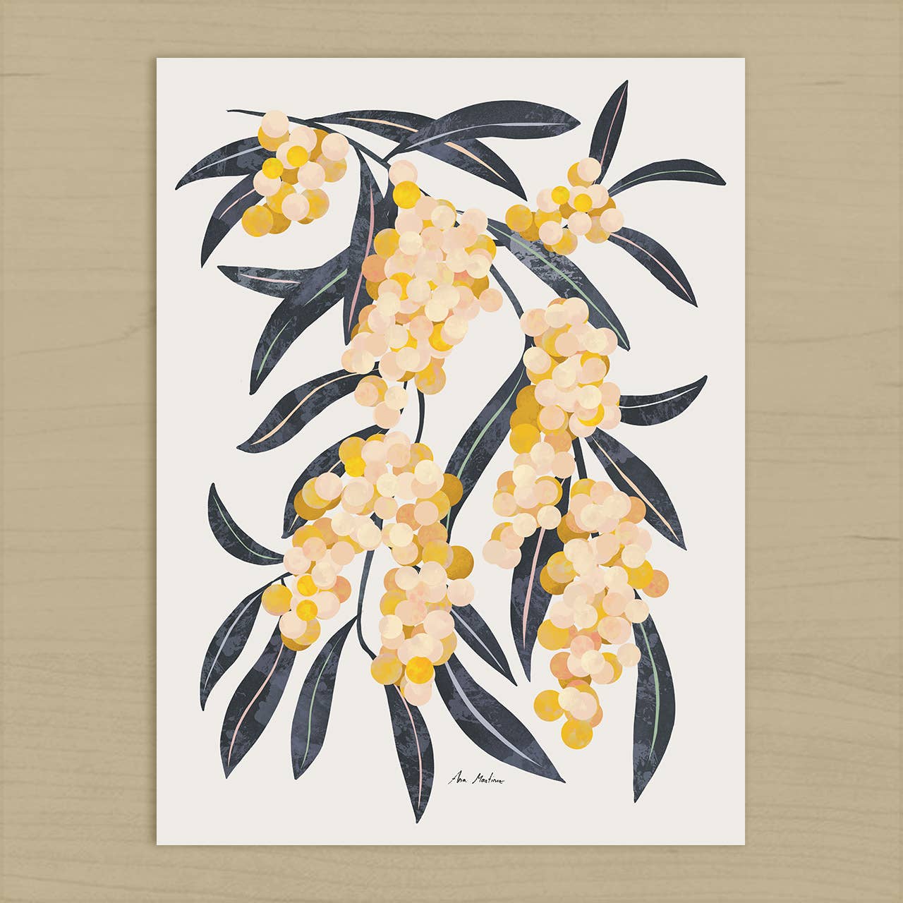 El buen limón - Acacia Branch Art Print