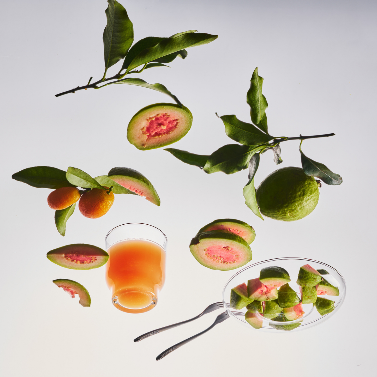 EMME nyc - Calamansi Guava – Candle Jar, 10 oz