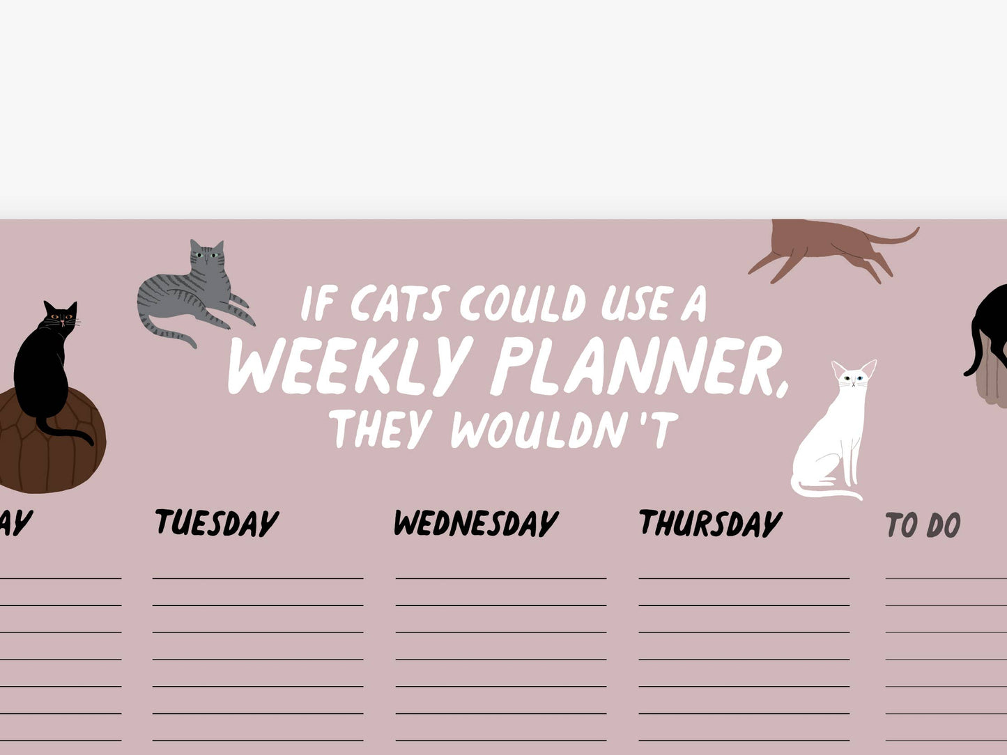 typealive - Weekly Planner/Petisfaction “CATS”