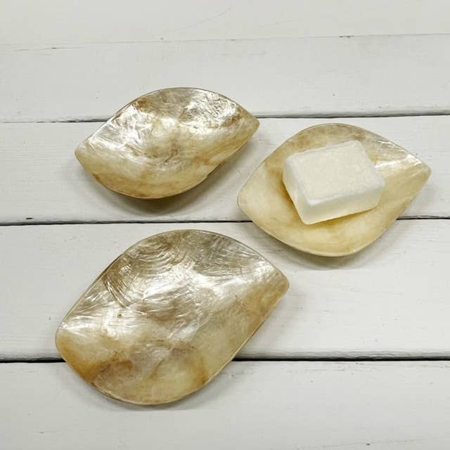 Schaaltje Schelp Capiz S Goud