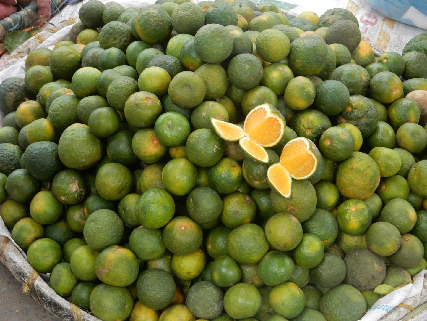 Theo & Philo – Pure with Calamansi 65%
