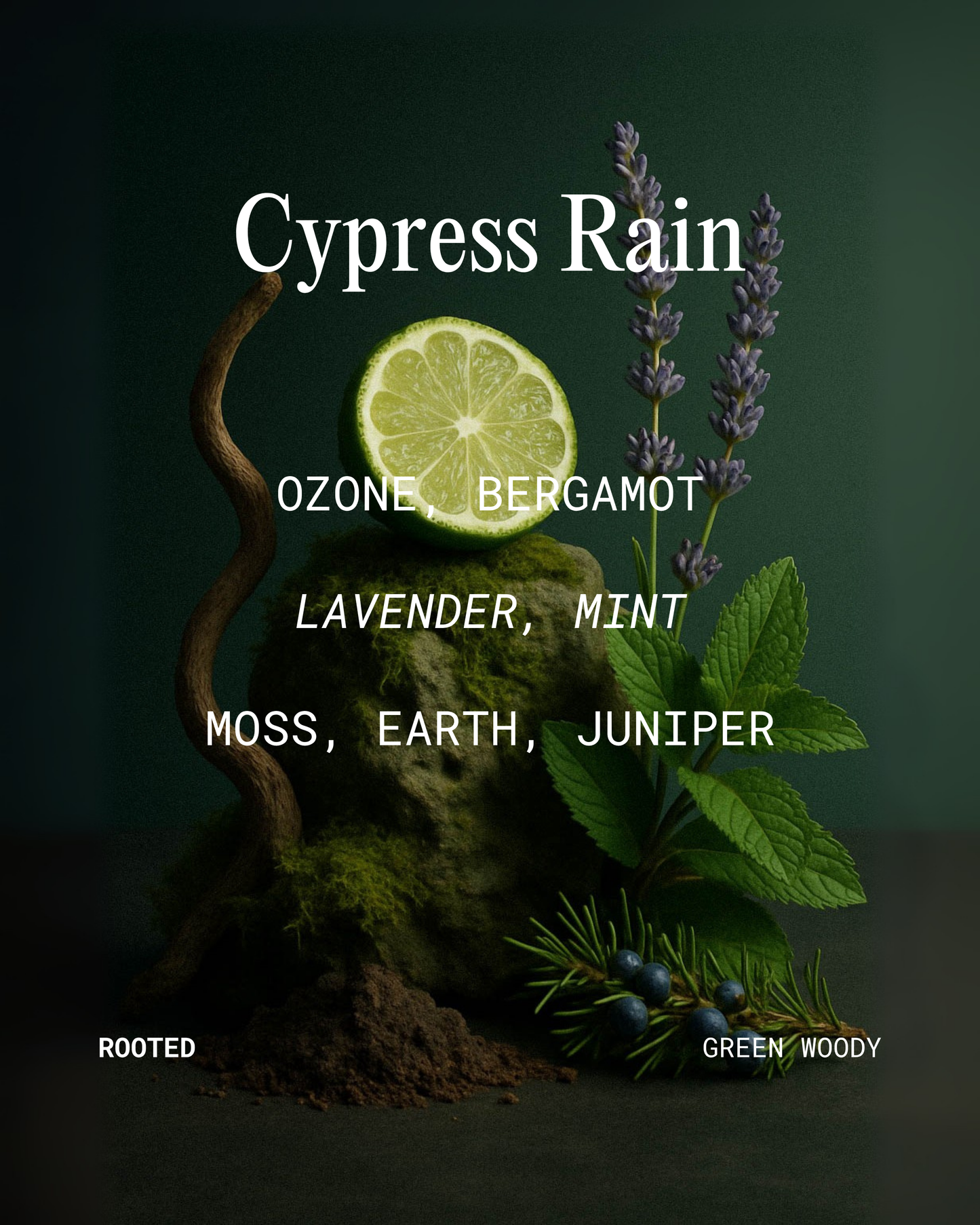 EMME nyc - Cypress Rain – Candle Jar, 10 oz