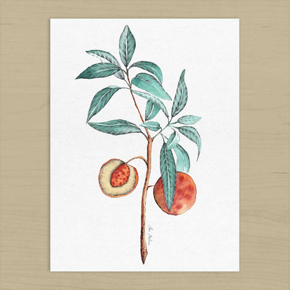 El buen limón - "Peach Branch" Art Print