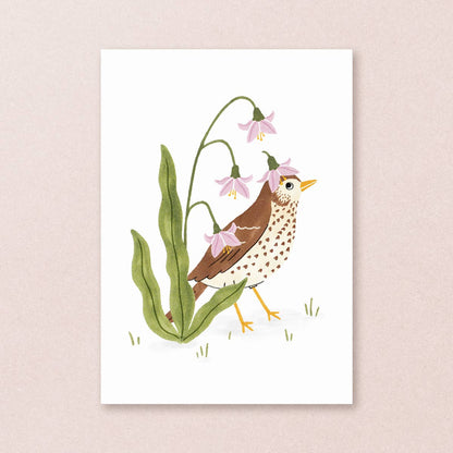 Studio Kuukeluus - Postcard song thrush