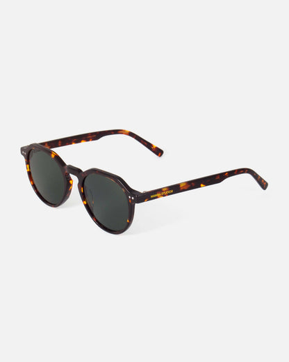 Mamba Studios - Bonaire · Tortoise