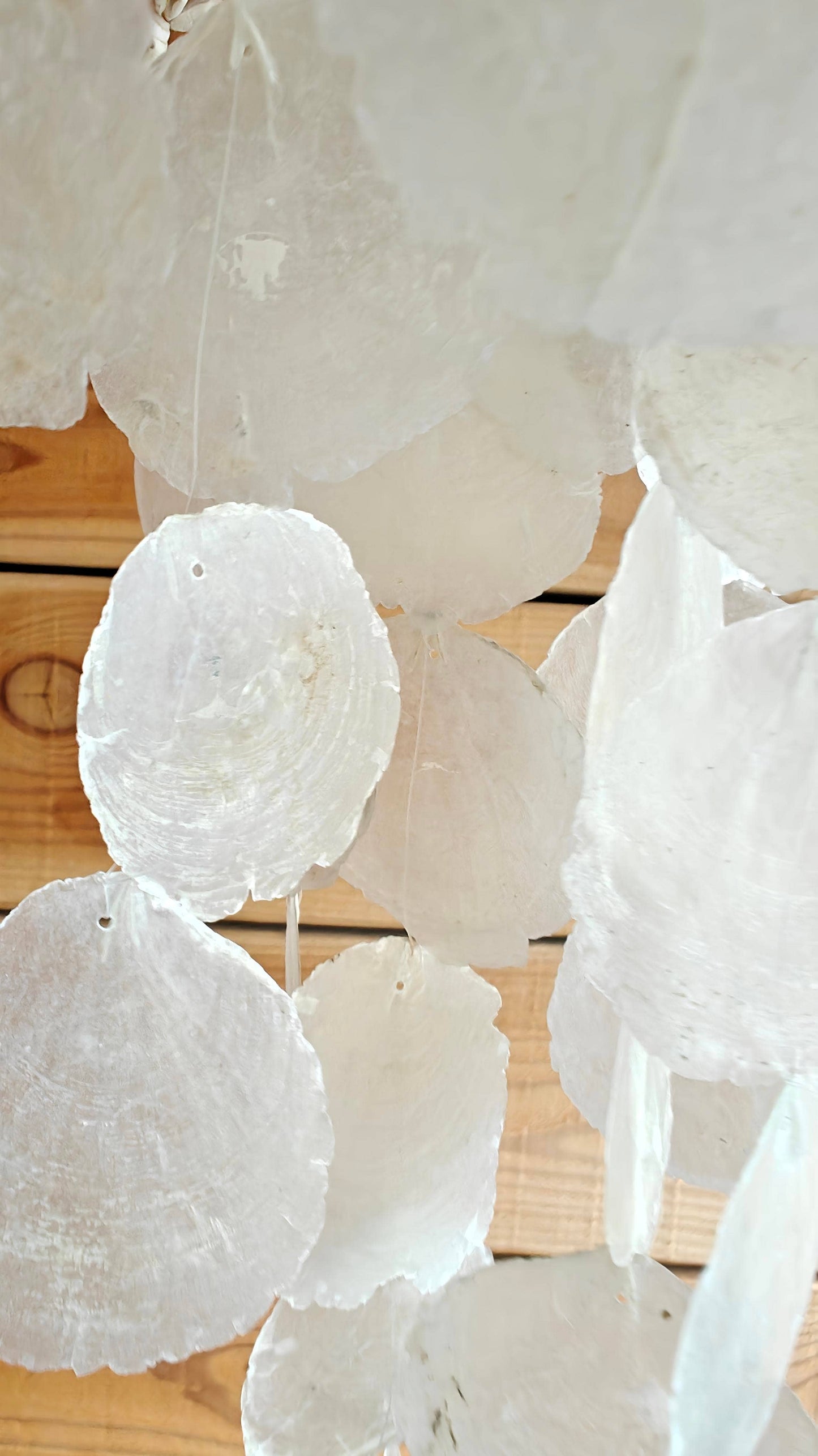 Product Import Holland - Unique capiz shell hanger small - boho - coastal - beach