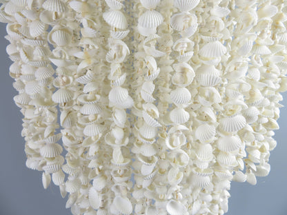 Product Import Holland - Shell pendant - Cap kor kor