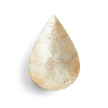 Schaaltje Schelp Capiz S Goud