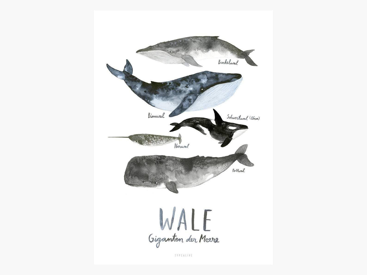 typealive - Print/whales