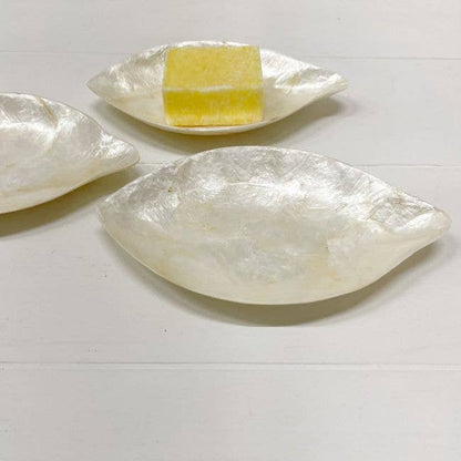 Schaaltje Schelp Capiz XS Wit