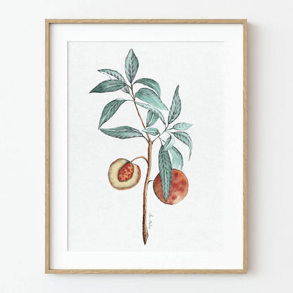 El buen limón - "Peach Branch" Art Print