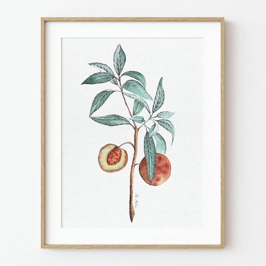 El buen limón - "Peach Branch" Art Print
