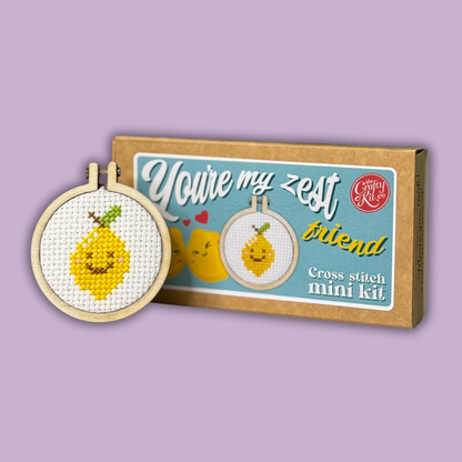 Mini Matchbox Kits - You're My Zest Friend Mini Matchbox Cross Stitch Kit