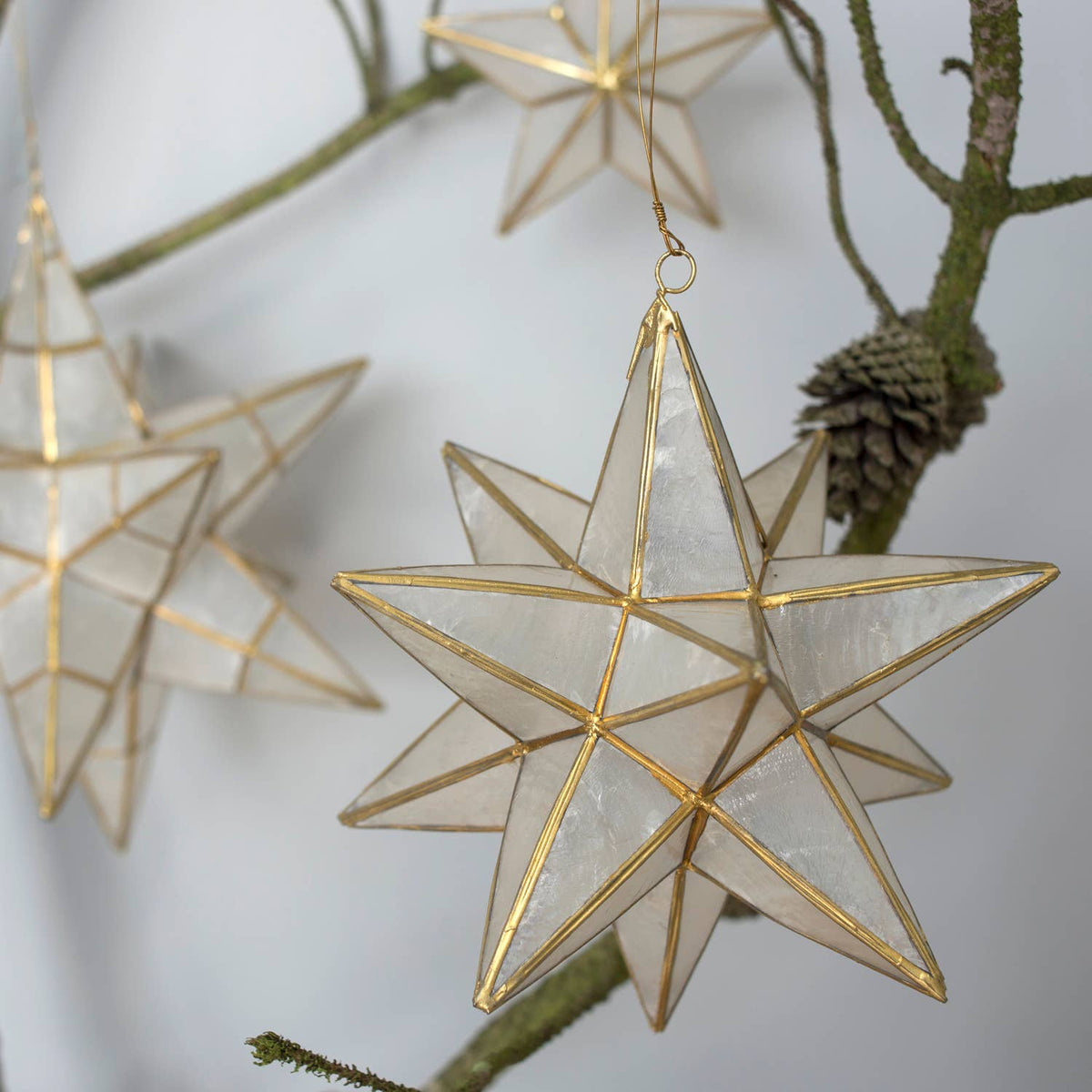 Kinta - Star Cap Sputnik w/ Gold Edges 15/20 cm