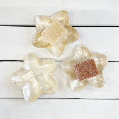 Schaaltje Schelp Capiz S Goud