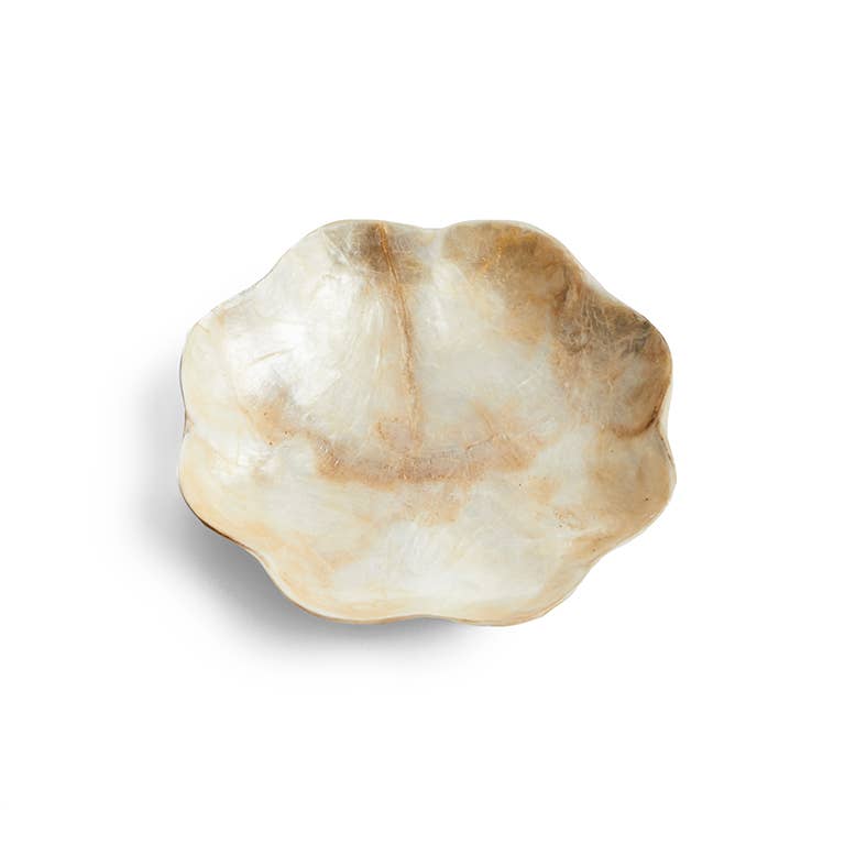 Schaaltje Schelp Capiz S Goud