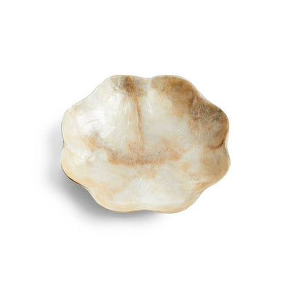 Schaaltje Schelp Capiz S Goud