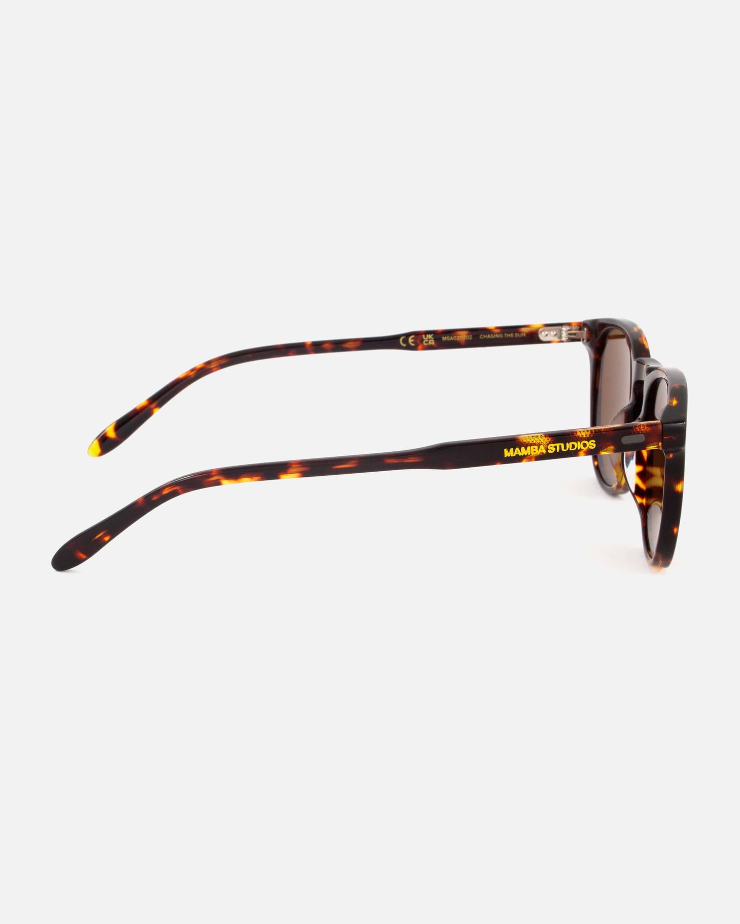 Mamba Studios - Gouna · Tortoise