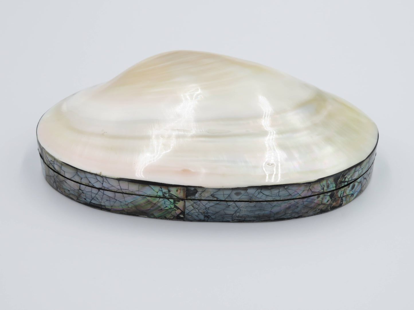 Product Import Holland - Jewelry Box Kupang - nature - shell - coast