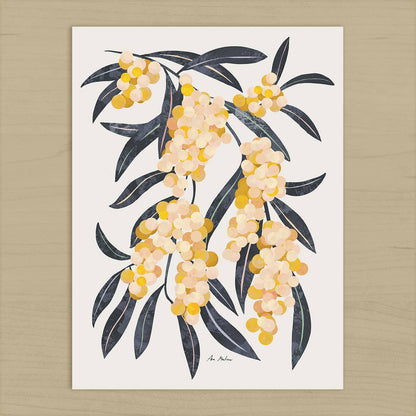 El buen limón - Acacia Branch Art Print