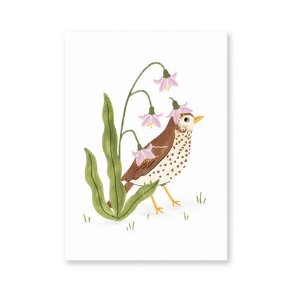 Studio Kuukeluus - Postcard song thrush