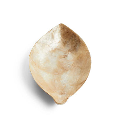 Schaaltje Schelp Capiz S Goud