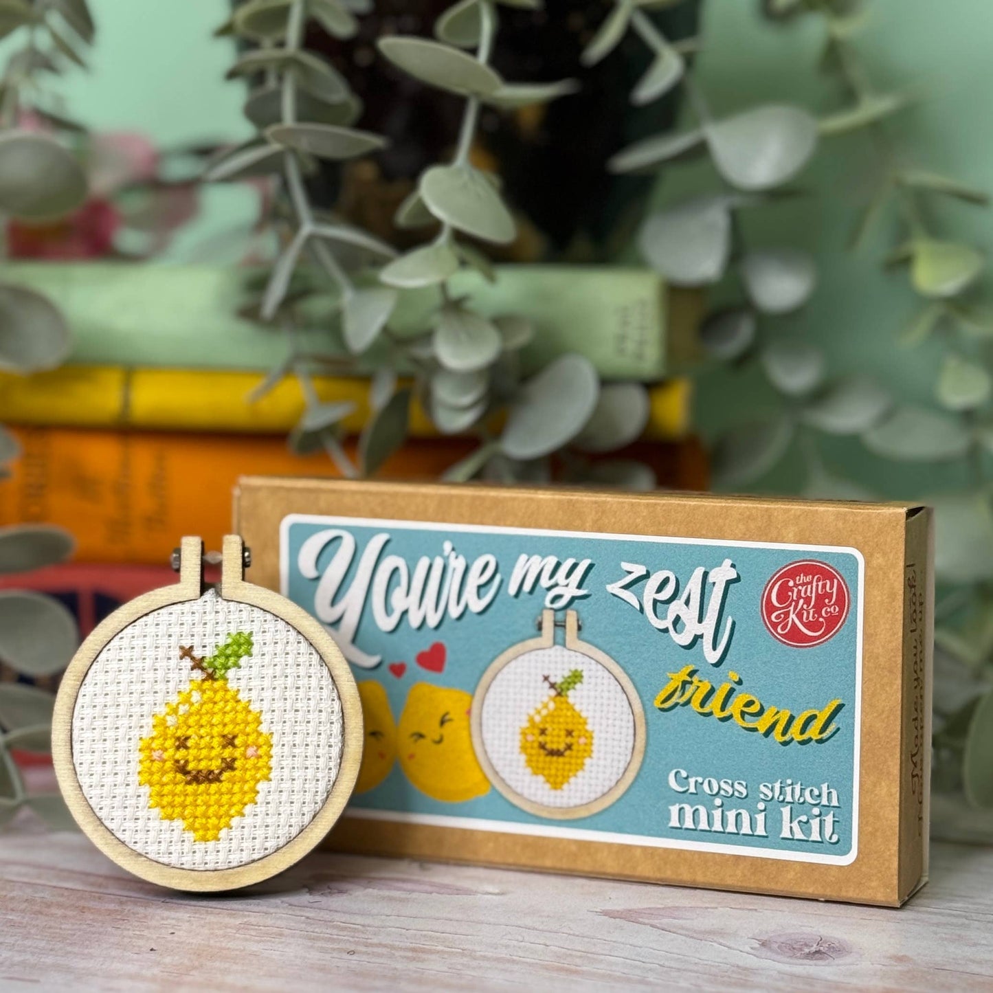 Mini Matchbox Kits - You're My Zest Friend Mini Matchbox Cross Stitch Kit