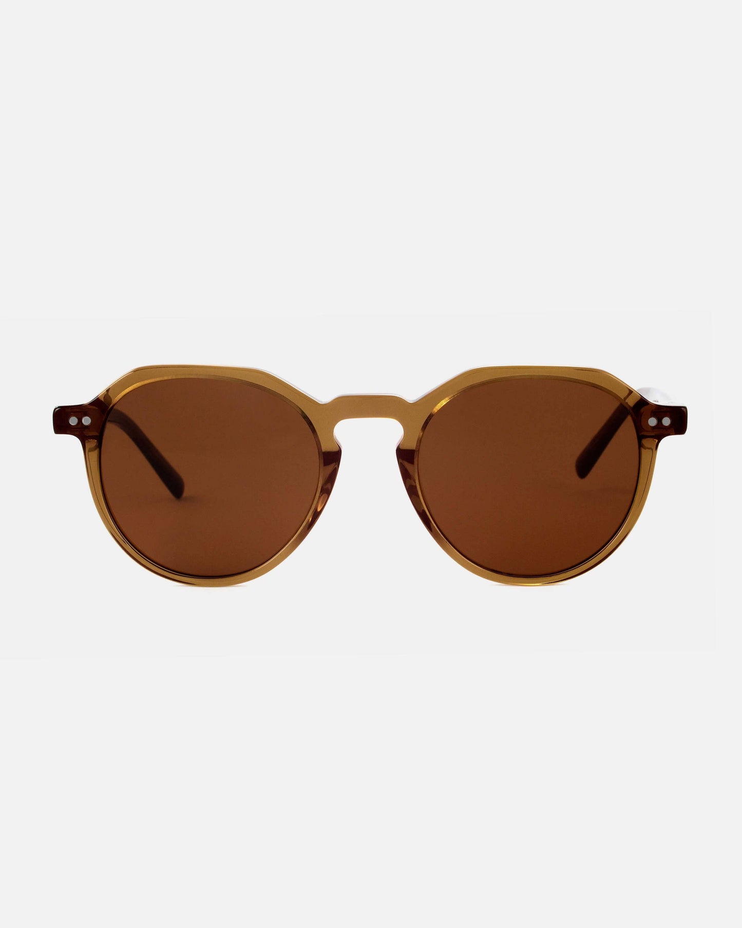 Mamba Studios - Bonaire · Brown