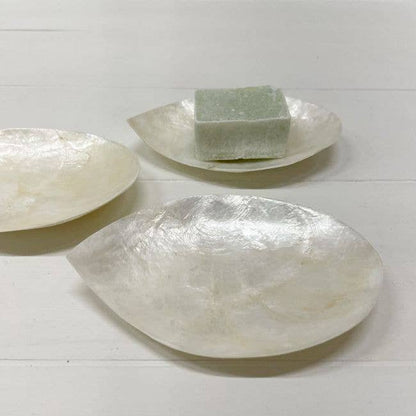 Schaaltje Schelp Capiz XS Wit