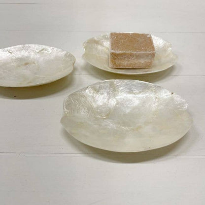 Schaaltje Schelp Capiz XS Wit