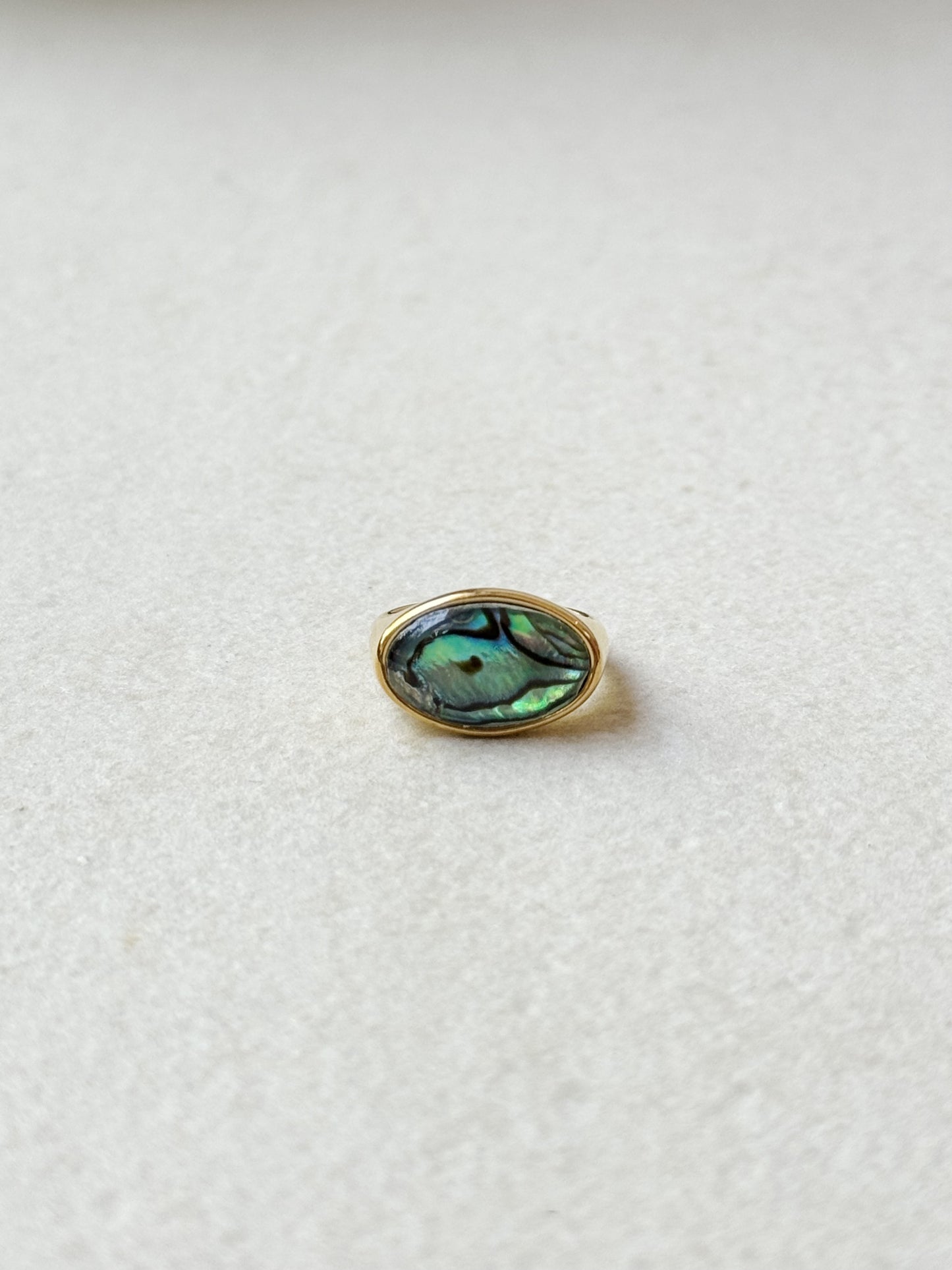 Abalone