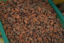 Load image into Gallery viewer, Theo &amp; Philo – Dark with Black Sesame, Cashew and Pili Nuts 65%
