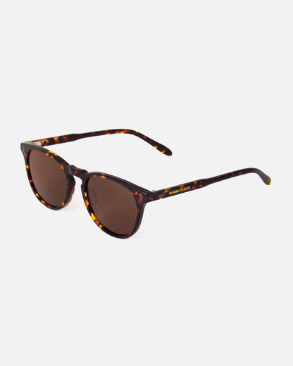 Mamba Studios - Gouna · Tortoise