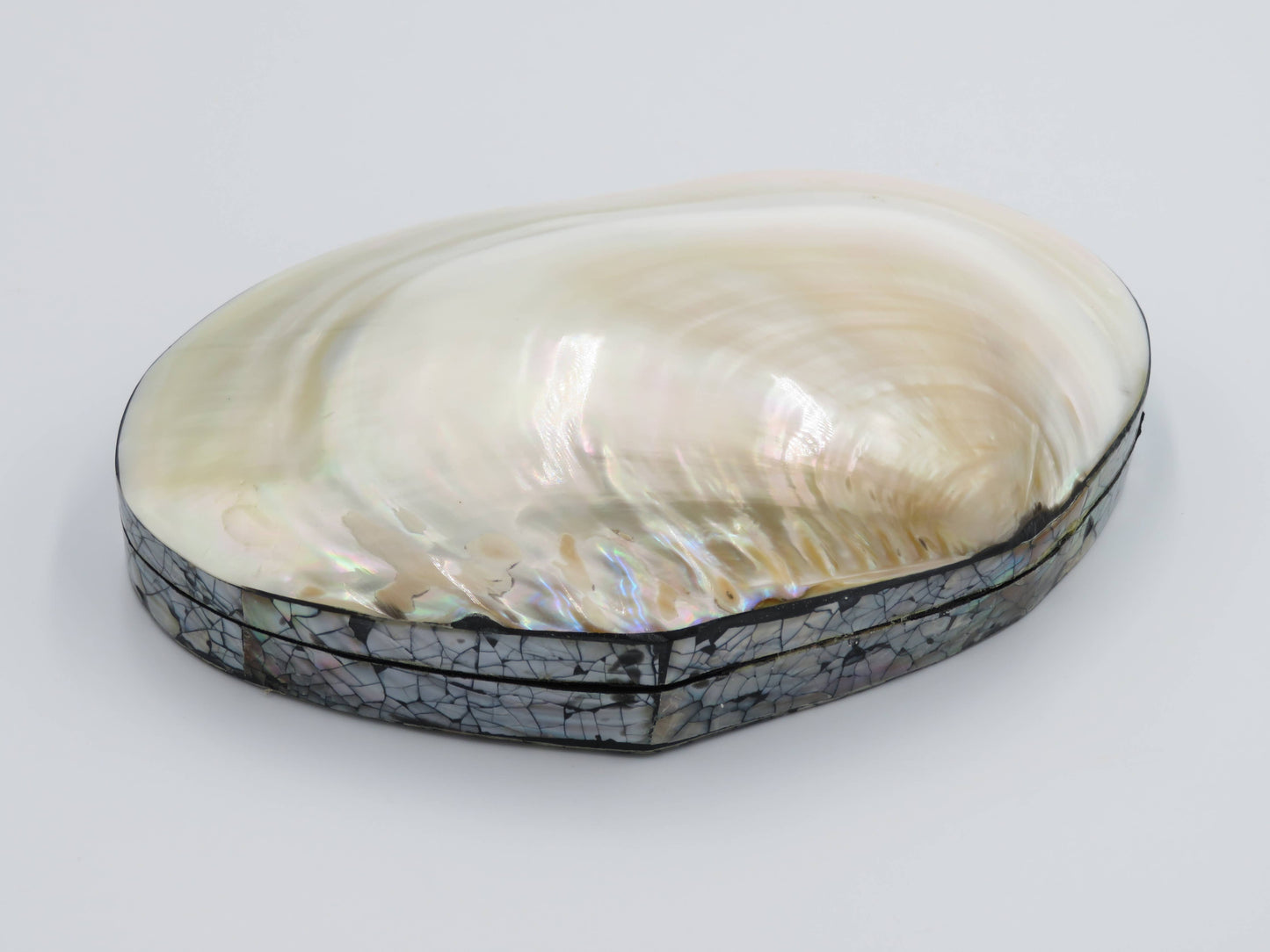Product Import Holland - Jewelry Box Kupang - nature - shell - coast
