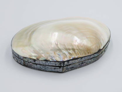 Product Import Holland - Jewelry Box Kupang - nature - shell - coast