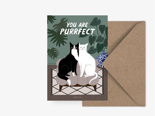 typealive - Postcard/Petisfaction “Cats” You Are Purrfect