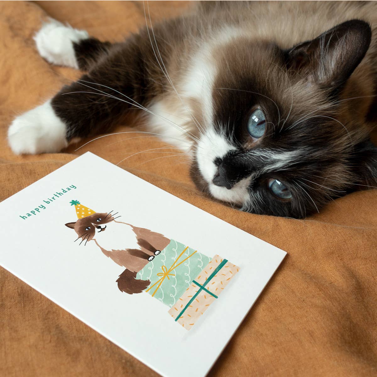 Studio Kuukeluus - Cat Birthday Card