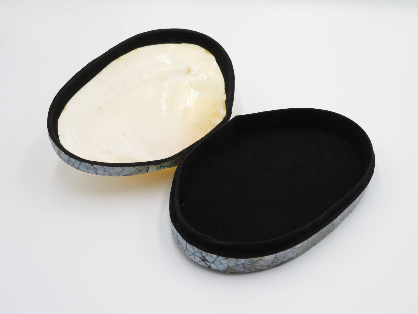 Product Import Holland - Jewelry Box Kupang - nature - shell - coast
