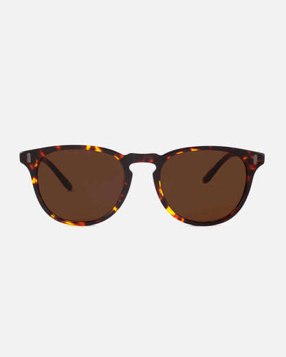 Mamba Studios - Gouna · Tortoise