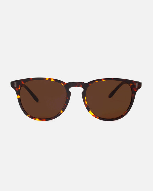 Mamba Studios - Gouna · Tortoise