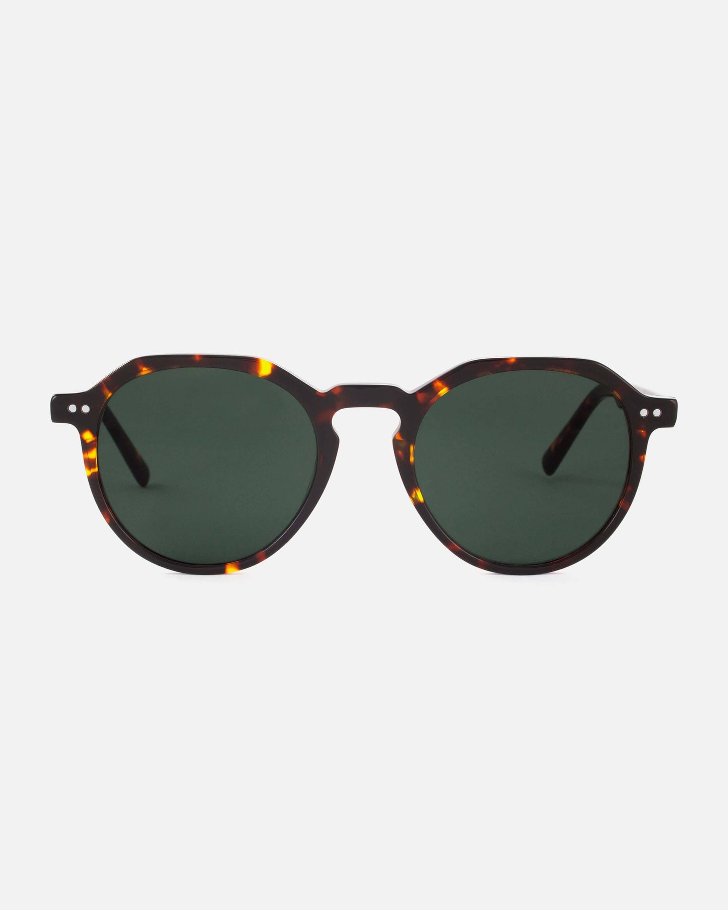 Mamba Studios - Bonaire · Tortoise