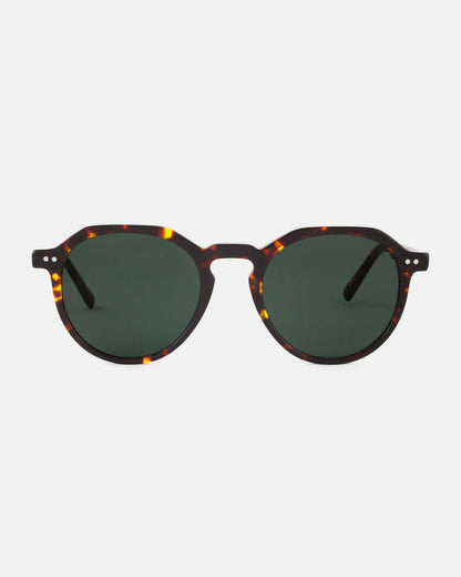 Mamba Studios - Bonaire · Tortoise