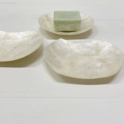 Schaaltje Schelp Capiz XS Wit
