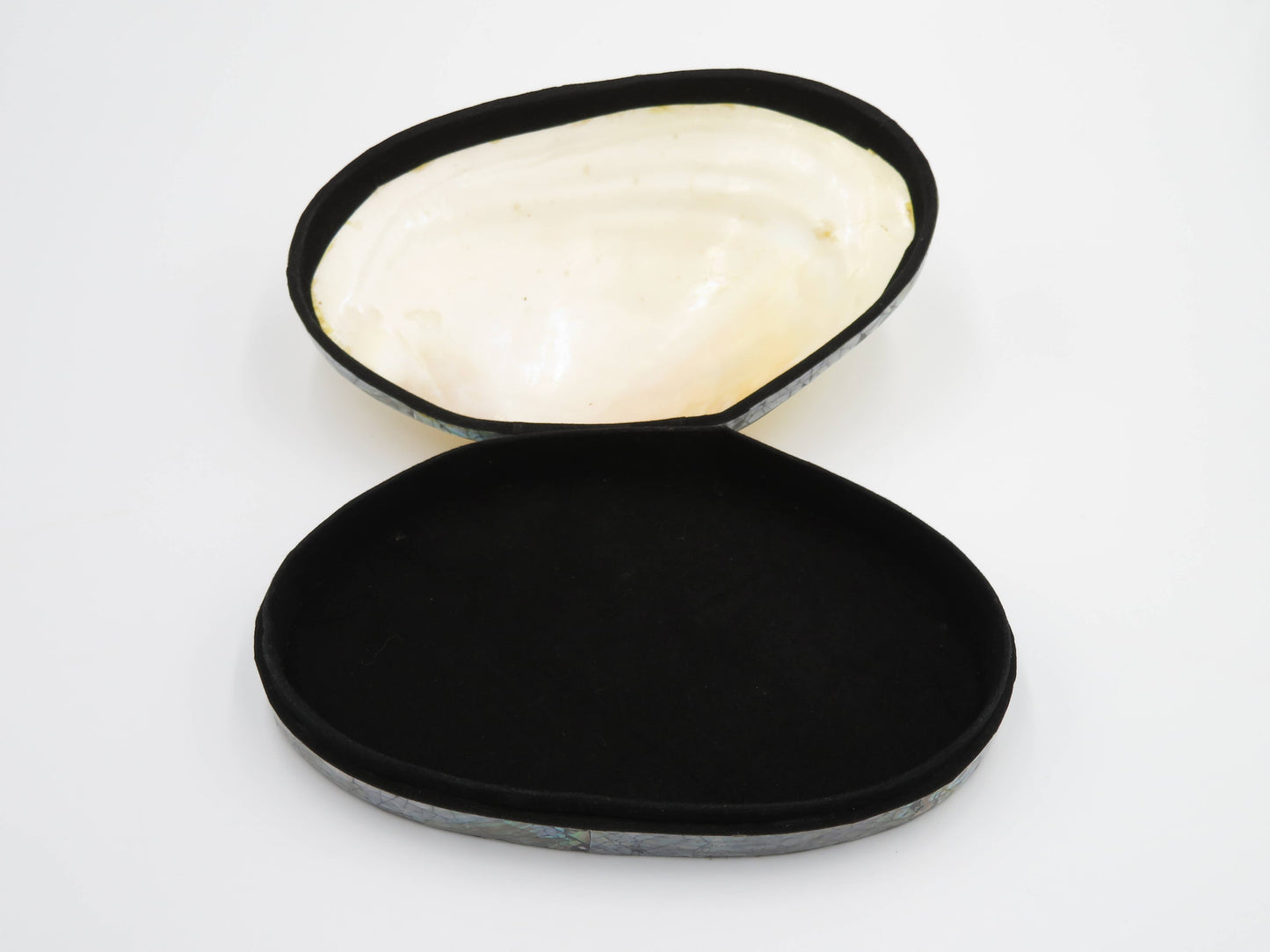 Product Import Holland - Jewelry Box Kupang - nature - shell - coast