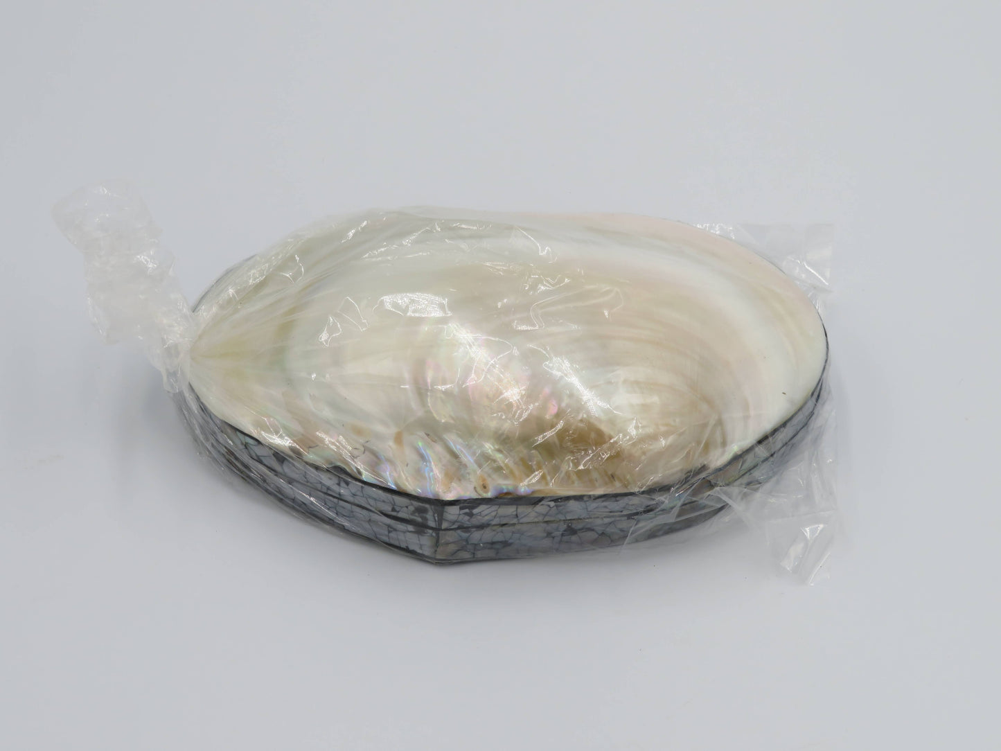 Product Import Holland - Jewelry Box Kupang - nature - shell - coast